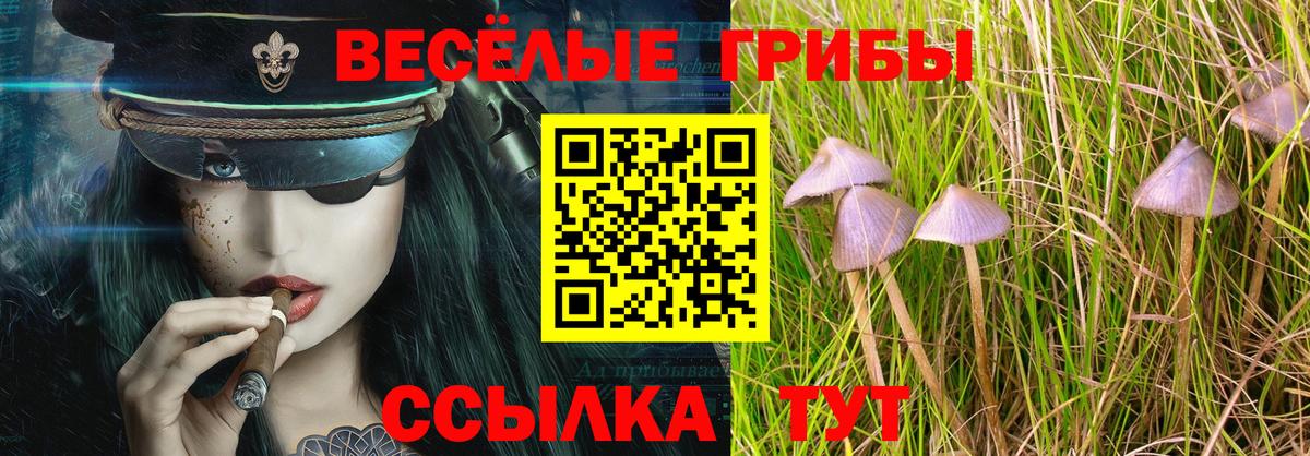 Купить наркотик  КОКАИН  Канабис  Вход с VPN  A PVP СОЛЬ кристаллы  Меф МЯУ МЯУ кристаллы  Верхняя Салда  Гашиш 