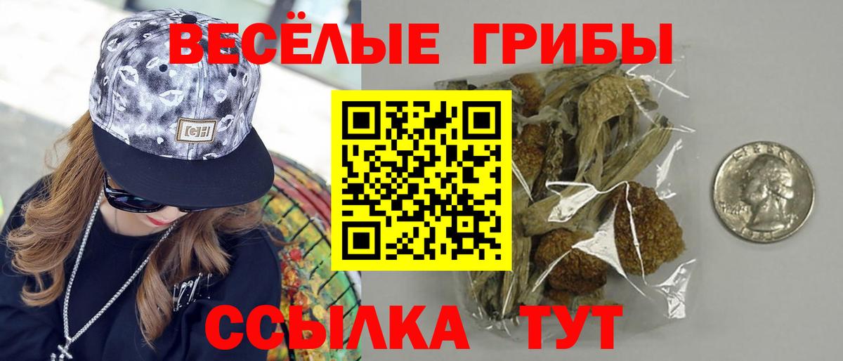 Верхняя Салда  Псилоцибиновые грибы мицелий  Вход с VPN 